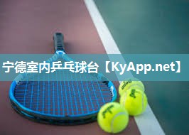 宁德室内乒乓球台