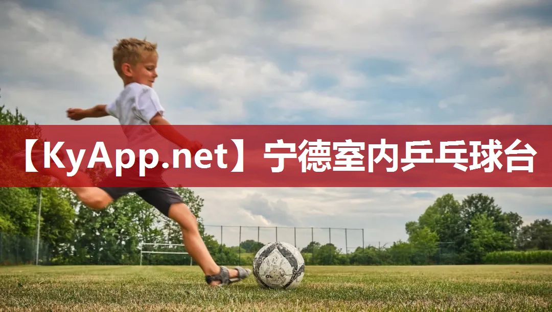 宁德室内乒乓球台 宁德室内乒乓球台