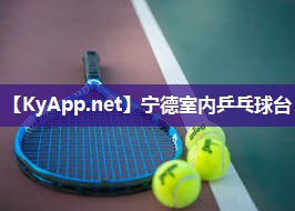 宁德室内乒乓球台 宁德室内乒乓球台